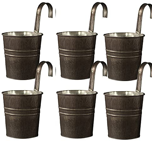 RTWAY Lot de 6 pots de fleurs à suspendre en métal avec crochet amovible