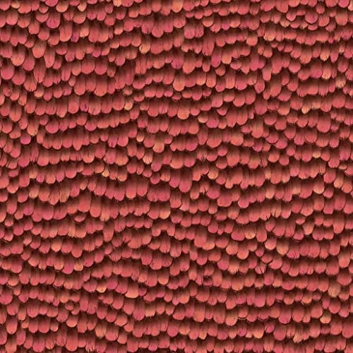 Red Orange Feathers Wallpaper - Paste The Wall Thick Textured Vinyl Modern Contemporary