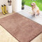 FCSDETAIL Paillasson Attrape-Poussière, Tapis de Sol Antidérapant Lavable en Machine, Tapis d'Entrée avec Microfibres Douces Absorbantes pour Chien, Entrée, Porte et Couloir