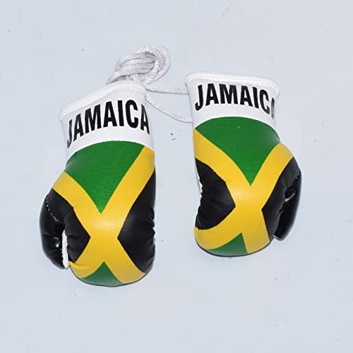 PAIR 3.5 Mini Boxing Gloves Car Hanging Van Rear Mirror sports Gift Flag Key