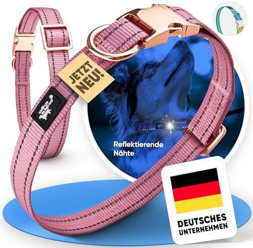 Who LED the dogs out?® Dog Collar M Rose/Rose Gold