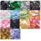 Nicole Knupfer 14 Farben 6 mm Pailletten basteln 5600Stück Rainbow Tasse Pailletten Bulk irisierend