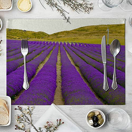 Gualiy Tovaglietta Sottopiatto Quadrata Set da 4, Tovaglietta Americana Antiscivolo 42x32cm Montagne e Lavanda Giardino Modello Tovagliette per la Colazione