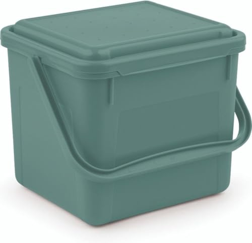 Rotho Komposteimer Bio 5 L Misletoe Green Biomüll Abfalleimer