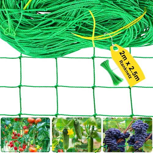Ranknetz 2 m x 2,5 m – Red para pepinos y plantas trepadoras, red de jardín con malla de 10 cm, red para plantas para tomates con 50 piezas de bridas para plantas, ayuda para enredaderas para plantas