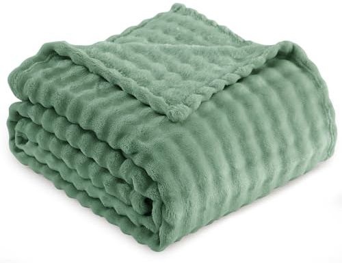 RUIKASI Kuscheldecke Flauschig Grün Kleine Decke - Weiche Sofadecke & Couchdecke 130x150 cm aus Plüsch, Warme Fleece für Wohnzimmer Deko Blanket, Dicke Wohndecke