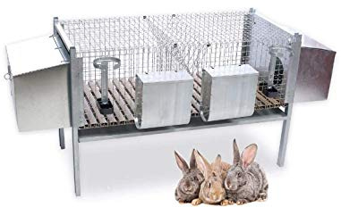 Cage à lapins pour la reproduction, avec 2 nids