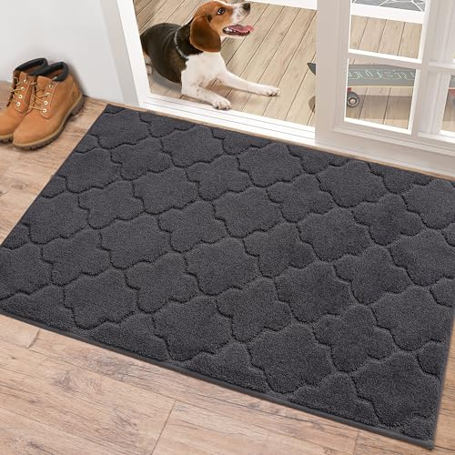 COSY HOMEER Fussmatte Innen 80 x 120 cm, Schmutzfangmatte Waschbar 1,5 cm Dicke, Eingangsteppich Sauberlaufmatte Hundeteppich Maschinenwaschbar für Flur, Küche, Hintertür, Dunkelgrau