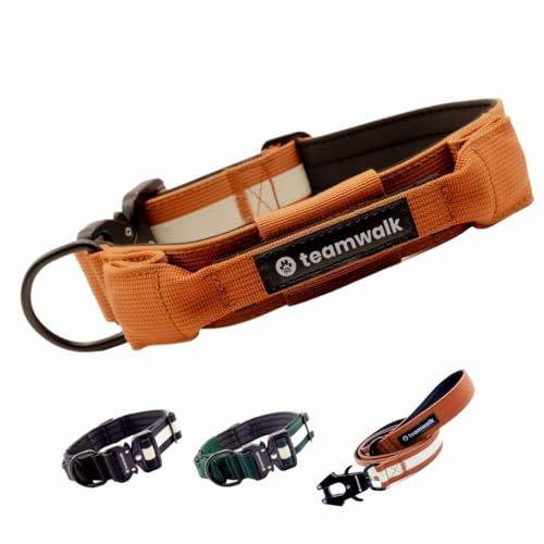 teamwalk® Premium Hundehalsband - mit Magnetgriff, Leuchtstreifen, Air-Tag Tasche, individuell einstellbar, weiche Polsterung, robuste Schnalle, mit passender Leine erhältlich, JETZT NOCH Leichter(L)