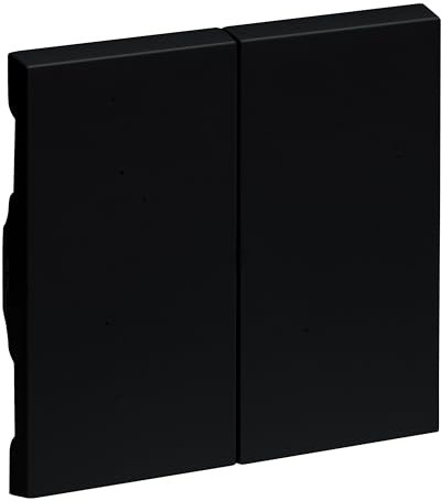 LEGRAND, Seano 765308 - Interruptor de serie para interruptor de serie (doble cambio y doble pulsador, cubierta de interruptor, placa basculante, color negro lacado)