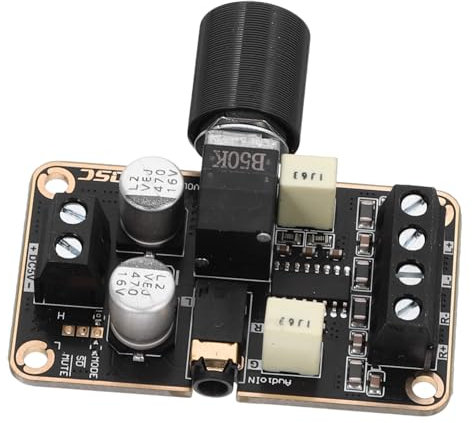 DRESSOOS Mini-Verstärkermodul Digitale Audio-Verstärkerplatine für Heim-Autoradio