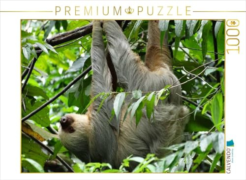 CALVENDO Puzzle Faultier | 1000 Teile Lege-Größe 64 x 48 cm Foto-Puzzle für glückliche Stunden