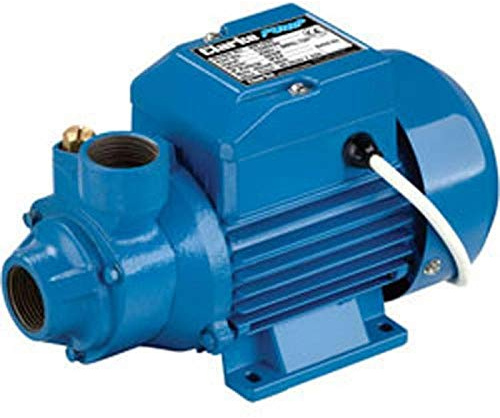 Clarke BIP1000 1 Electric Water Pump - 7230330