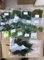 Prefleur DIY Crafts sortiertes Moos-Set, gemischt, konserviert, stabilisiertes Mooskissen, natürliches Grün, echte Dekorationsprobe