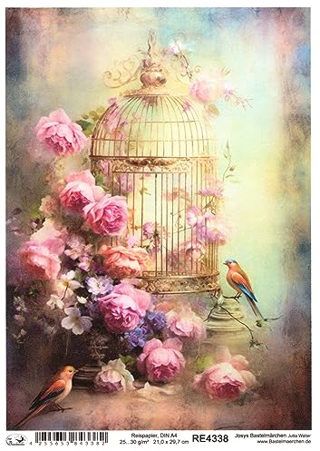 Josys Bastelmärchen Reispapier A4 Strohseide Vintage Scrapbooking Blumen Vogelkäfig Rosen RE4338