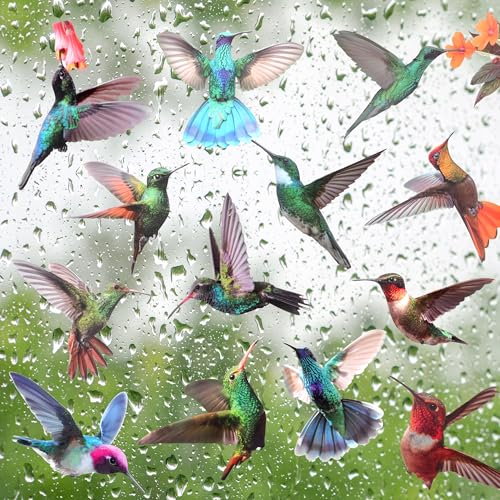 19 Pezzi Adesivi per Finestra, Colibrì Adesivi Anticollisione, Colibrì Non Adesivi in Vinile per adesivi per la decorazione domestica