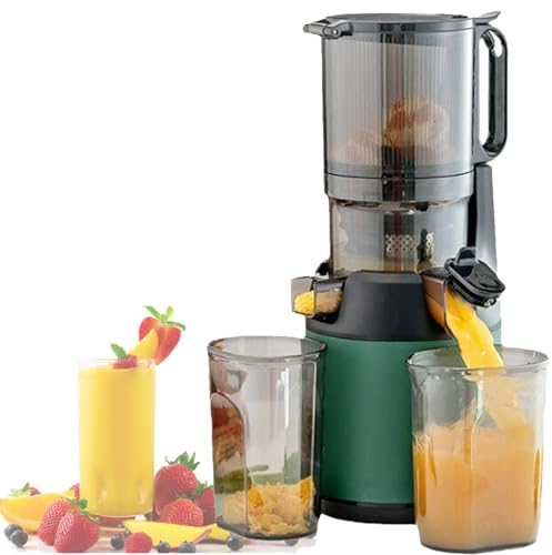 Spdazzleburst 300w cold Press Slow Juicer, Juicer Machines, Cold Press Masticating Juicer, with 13cm Feeding Chute, Portable Pomace Separation Juicer, for Fruits Vegetables,Green