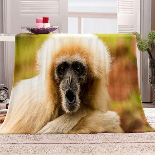 KQYLBM AFFE Kuscheldecke Flauschig 130 X 150 cm Fleece Decke Fleecedecke Winter Blanket