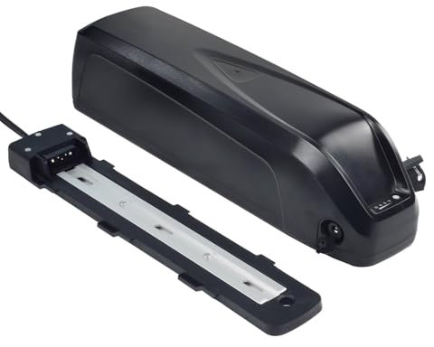 ShunTongDa Batterie lithium-ion 48 V 14 Ah pour vélo électrique RAD Power Batterie externe Hailong avec chargeur