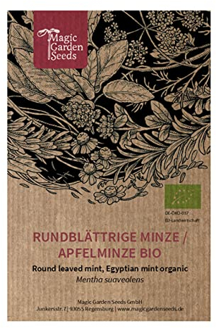 Rundblättrige Minze/Apfelminze (Mentha suaveolens) Bio - ca. 500 Samen