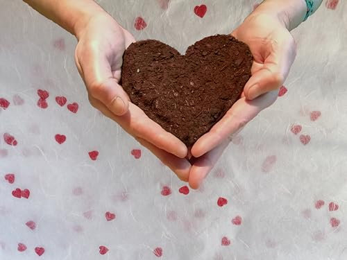 Seedball Herz *MadeInGermany* unterstützt von regionaler Behindertenwerkstätte - nachhaltiges Geschenk für Valentinstag, Muttertag, Geburtstag usw. | Samenbomben, Blumensamen, Blumenkugeln in Herzform