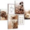 Novart Cuadros Cocina de café - CON ESTILO, SIN NECESIDAD DE MARCO - Moderne Collage Coffe - Fotos comedor de cocina - N004363a