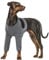 Post Op Dog Recovery Suit, Anti-Licking Protection Sleeve Dog Leg Protector Wraps Protective Leggings Non Restrictive on Movement(Grey, 2XL)