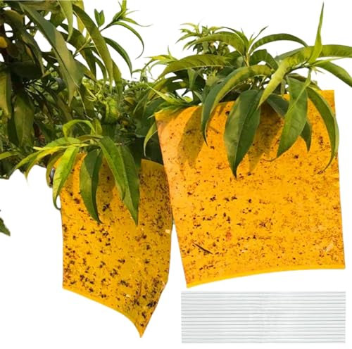 Trampas Adhesivas para Moscas,50 Piezas Papeles Pegajosos Amarillos,Trampas de Insectos de Doble Cara,Papeles Pegajosos Amarillos,Pegatinas Adhesivas de Papel de Mosca