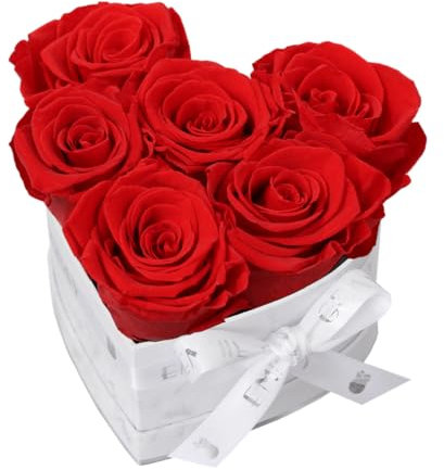 EG EMMIE GRAY Classic Infinity Rosebox | Heart | S | Marble Silver – 7 ± 1 Infinity Rosen mit langjähriger Haltbarkeit, echte Rosen die bis zu 3 Jahre blühen, konservierte Rosen (Vibrant Red)