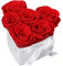 EG EMMIE GRAY Classic Infinity Rosebox | Heart | S | Marble Silver – 7 ± 1 Infinity Rosen mit langjähriger Haltbarkeit, echte Rosen die bis zu 3 Jahre blühen, konservierte Rosen (Vibrant Red)