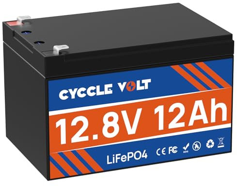 Batteria al litio 12V 12Ah LiFePO4 con BMS 12A, durata di vita di 10 anni, oltre 4000 cicli, per barca, giocattolo cavalcabile, motore per pesca a traina, luce LED, telecamera di sicurezza, campeggio