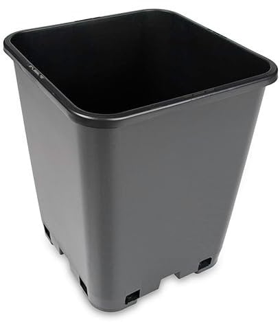 Schiller 10x 6L Topf viereckig 19x 19 x 23cm Pflanztopf Vierkant-Töpfe Blumenkübel Anzucht Blumentopf Pflanzgefäß