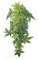 Aquarium künstliche Pflanze, Aquarium Dekorationen Aquarium künstliche grüne Weichplastik Wasserpflanzen Terrarium Ornamente Dekor(40cm)