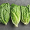 Aamish 200 semillas de lechuga romana.