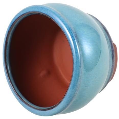 Happyyami Saftige Spargel-Topfpflanze grünpflanzen blumenkübel Heimdekoration Blumentöpfe aus Porzellan Anlage dekorativer Blumentopf für den Schreibtisch Sukkulenten Pflanzen Topf lila Ton