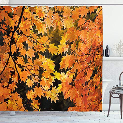 ABAKUHAUS Blätter Duschvorhang, Vivid Herbst-Ahornblätter, Stoffliches Gewebe Badezimmerdekorationsset mit Haken, 175 x 200 cm, Orange Gelb Braun