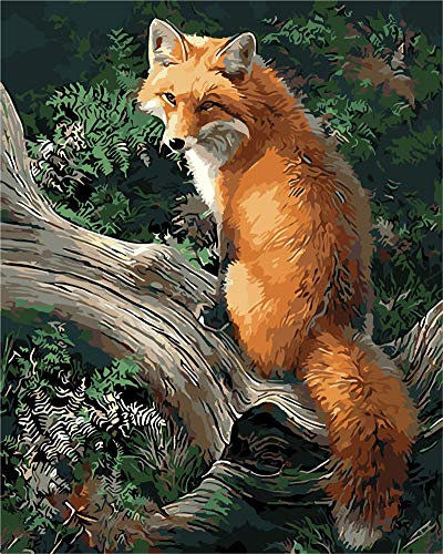 WOWDECOR DIY Malen nach Zahlen für Erwachsene Kinder Mädchen, Fox auf dem Baum 40x50cm Vorgedruckt Leinwand-Ölgemälde (mit Rahmen)