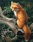WOWDECOR DIY Malen nach Zahlen für Erwachsene Kinder Mädchen, Fox auf dem Baum 40x50cm Vorgedruckt Leinwand-Ölgemälde (mit Rahmen)