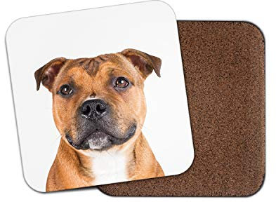 Cool Bull Dog Untersetzer – Staffordshire Terrier American Animals Pets Geschenk #12733