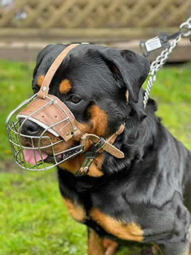 Starker Maulkorb aus Drahtmetall für Hunde, Rottweiler, Mastiff Golden Retriever und andere (R1, silberfarben/braunes Leder)
