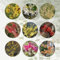 50 Pcs Zaubernuss Pflanze Winterhart Samen - Hamamelis Mollis - Zimmerpflanzen Echt Samen, Winterharte Blumen Zaubernuss Samen, Bio Samen Alte Sorten, Baum Pflanzen Pflanzen Samen