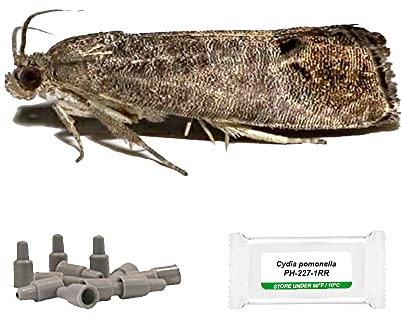 IPM Direct Pack of 3 Moth Trap Attractant Pheromones (Codling Moth)