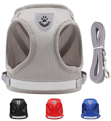 Hundegeschirr und Leine Set, Weich Mesh Gepolstert Geschirr, Air-Mesh Atmungsaktive Brustgeschirr, Verstellbare No Pull Reflektierend Brustgeschirr für Welpen Mittlere Klein Hunde