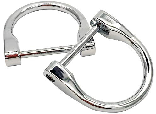 4 Stück 2,5 cm D-Ringe Schraube in Schäkel Hufeisen U-Form D-Ring DIY Leder Handwerk börse Schlüsselanhänger Zubehör (Chrom)