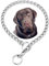 Kette Choke Halsband für Hunde, Silber XS Metall Slip Link Training Heavy Duty Hund Choker Halsband Martingale Welpenhalsbänder für XXS XS Small Medium Large Big XL Rasse Hunde