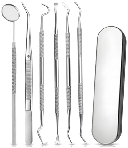 JOVYTH 6 pièces Détartreur Dentaire, Kit d'Instruments Dentaires en Acier Inoxydable, Miroir Dentaire, Pince et Sonde Dentaires, Appareil Détartrage Dentaire, Dents