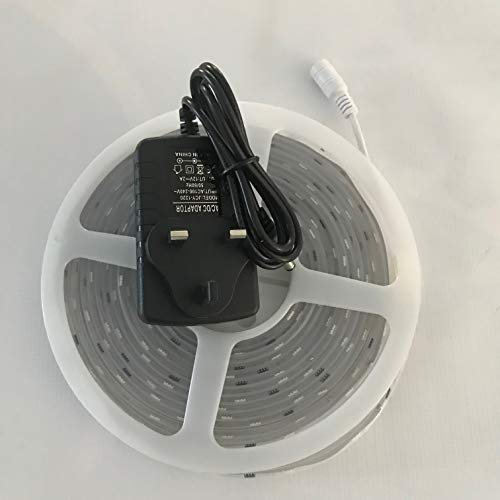 online-leds 5M Flagpole Mains Digital Magic Dream Chasing Led Strip Light Button Controlled 75 Patterns.