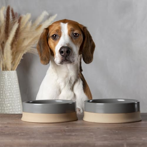 Scruffs Scandi 2 Piece Non Tip Pet Food & Water Bowl - 16cm - Grey