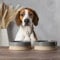 Scruffs Scandi 2 Piece Non Tip Pet Food & Water Bowl - 16cm - Grey