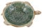 Holibanna Ceramic Crafts Turtle Jewelry Tray Animal Ornaments Soap Box Jewelry Storage Tray Small Jewelry Tray Ceramic Ring Holder Decorative Plate Key Bowl Ceramics Shower Tray Sea ​​turtle